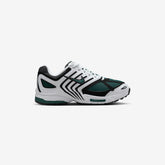 Wmns Air Pegasus 2005