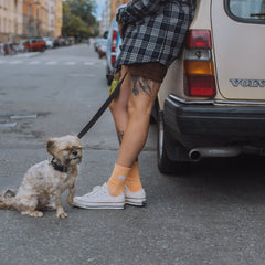 Chuck Taylor 70 Ox